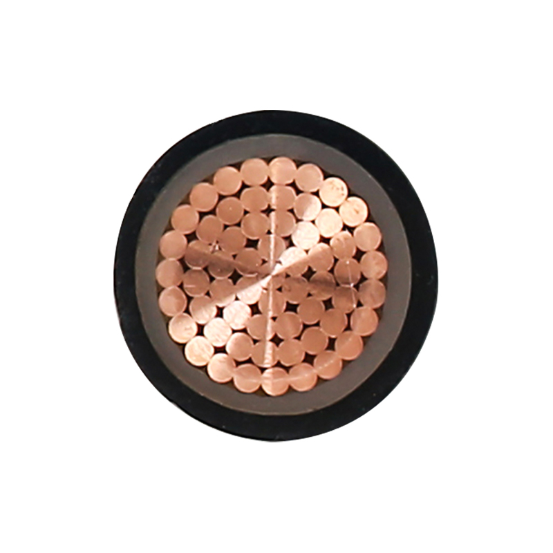 EV-Ladekabel für Nennspannung 450/750 V