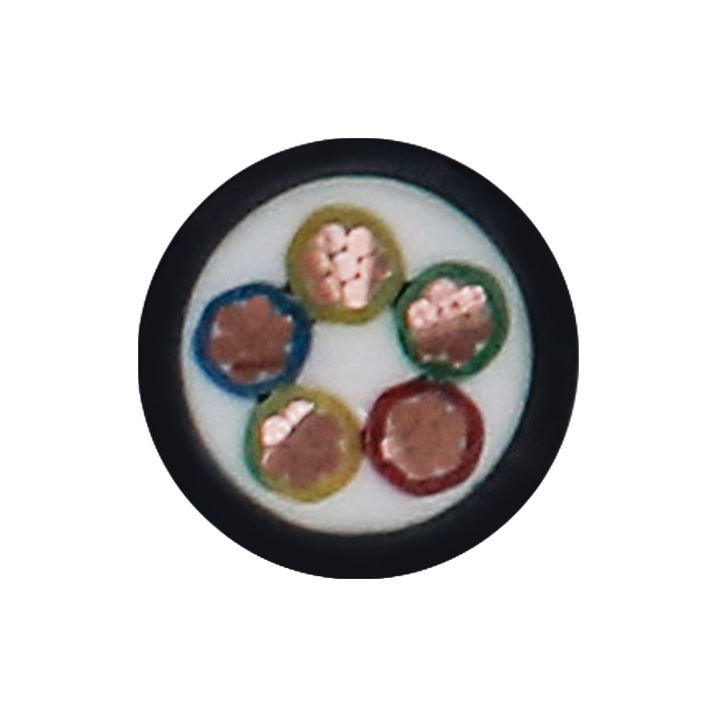 EV-Ladekabel für Nennspannung 450/750 V