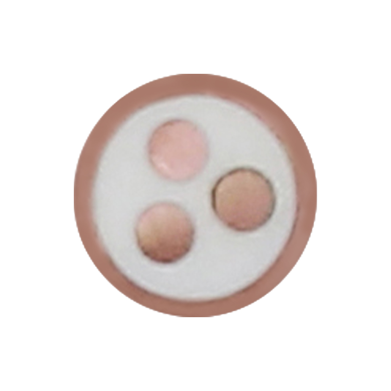 EV-Ladekabel für Nennspannung 450/750 V